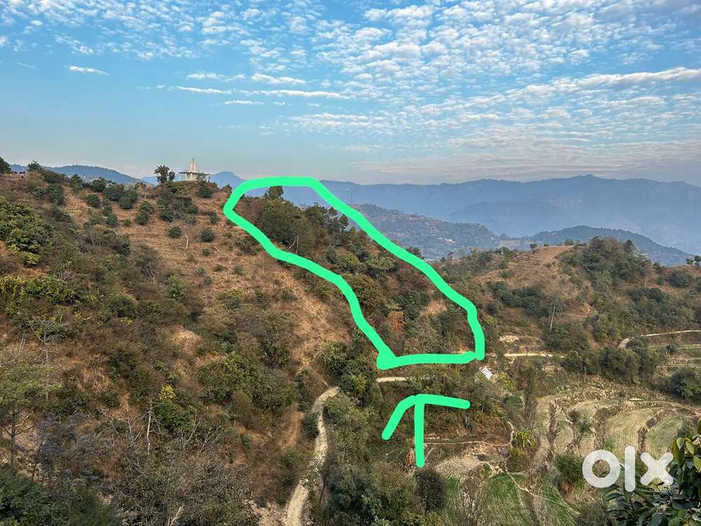 Land for sale at Nerchowk