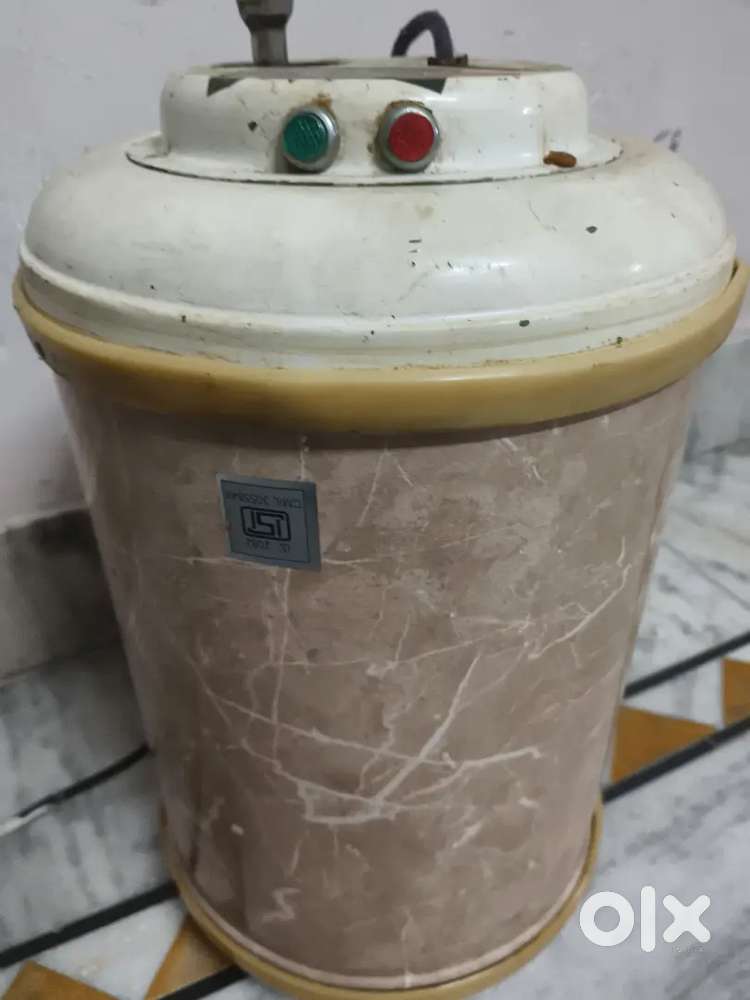 Electric geyser
