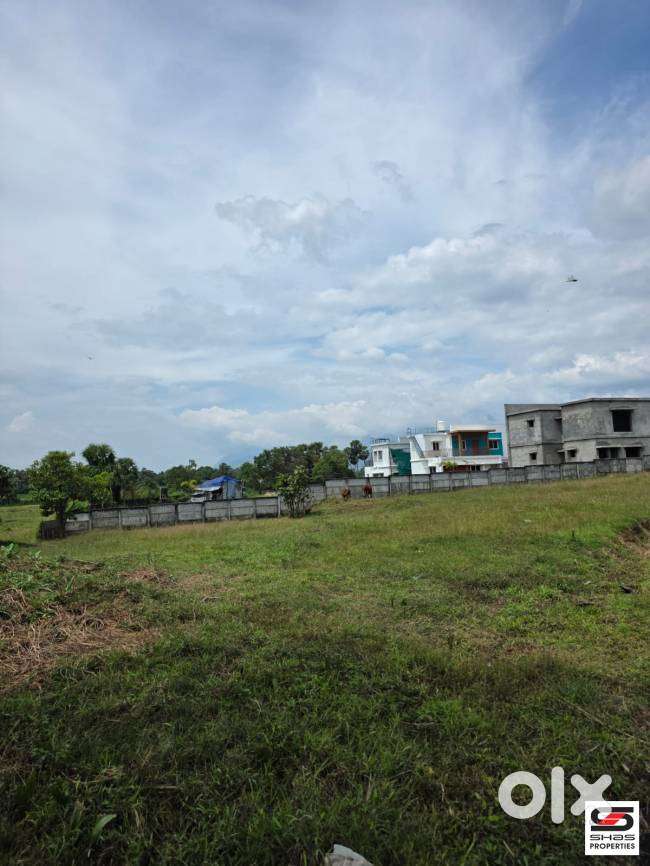 Residential plot for sale in Kuppiyode, Palakkad