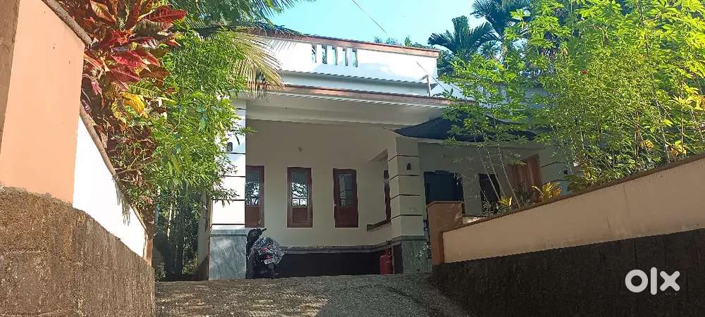 Kayanna bazar.perambra . Kozhikode Kerala