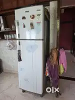 Electrolux double door fridge