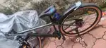 cradiac alpha pro cycle