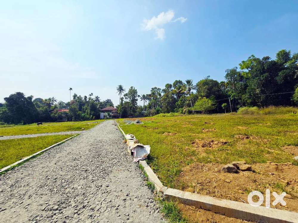 3,4 Cent Residential Plot for Sale In Neericode, Near Kongorpilly