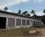 GODOWN / FACTORY SHED FOR RENT 10000 SQFT