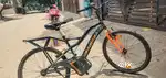 Rapido sports model