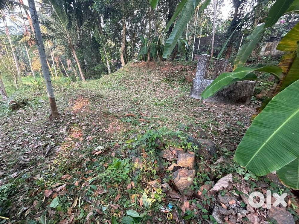 Plot for urgent sale