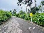 Kakkanad seaport road 500metr 37cent plot cent 13.5lakh