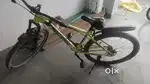 For adult children