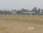 #  CHENGALPATU ON ROAD PLOTS