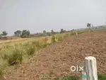 West Facing Residential Plot for Sale in Sheikhpura, Naubatpur | ₹20L