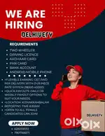 delivery exicutive
