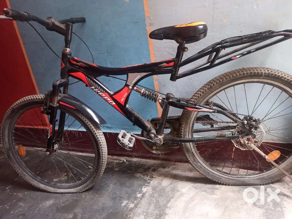 Hippo activ cycle (1 year old)