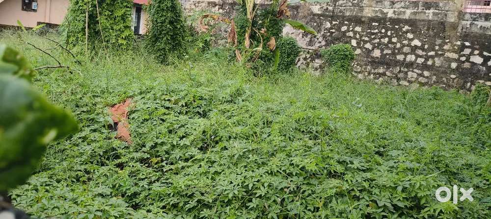 4 CENTS RESIDENTIAL PLOT FOR SALE NEAR VAZHUTHACAUD