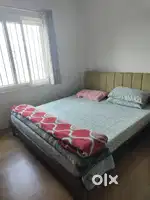 King Bed + Mattresses
