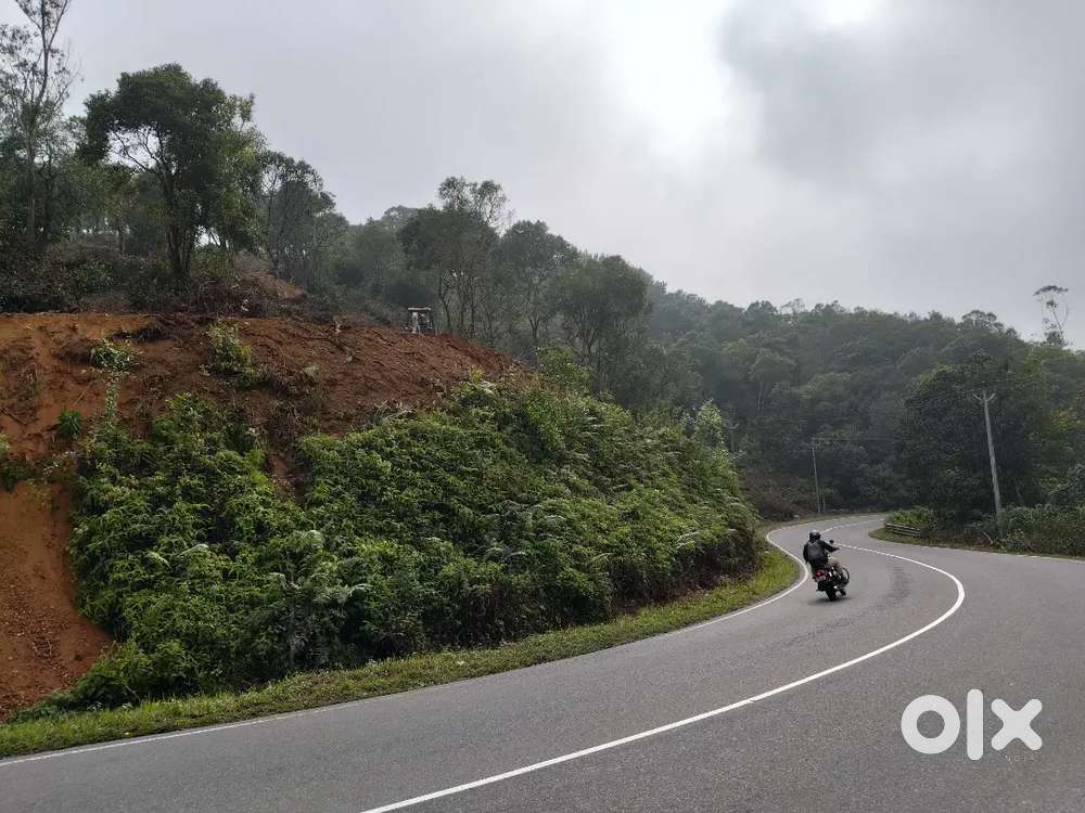Resort plot at kuttikanam town limit