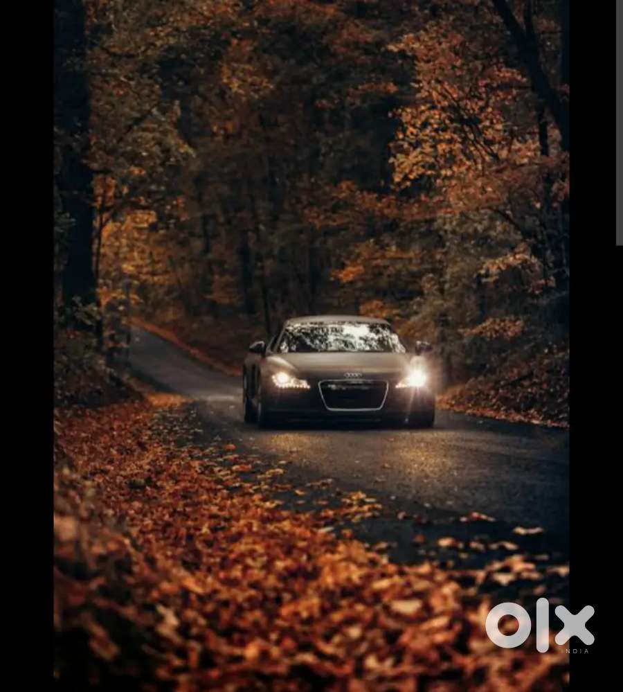 Bangalore driver service