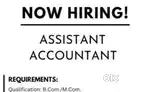 Accountant Job