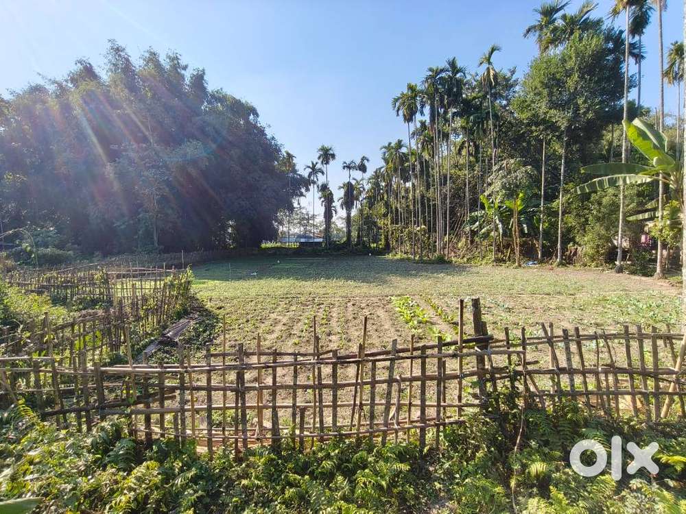 Urgent sale ,Near Nh15 Mangalbaria Bajar , kusumtola , Negotiable