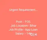 App Loan field Job