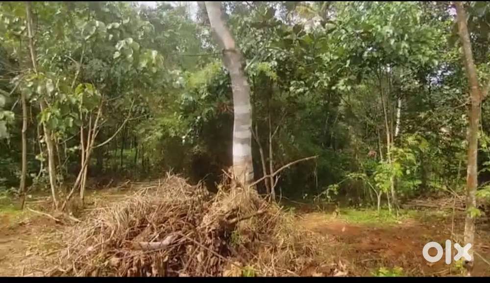 80 cent land for sale,near vettimukal,ettumanoor,kottayam district