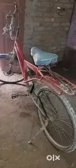 TorNedo cycle