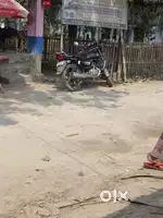 TVs redione