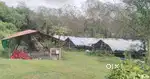Chicken farm rent