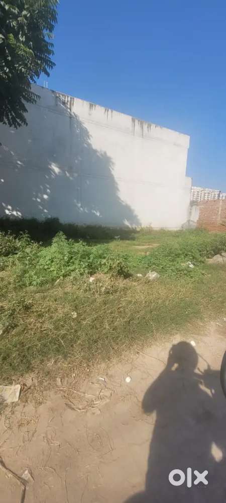 For sale white adjustable 364 gaj corner plot  in sector 125 mohali