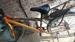 Latest Ranjar cycle