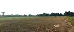 Sell fram house land
