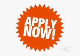 Collection Executive , Ernakulam