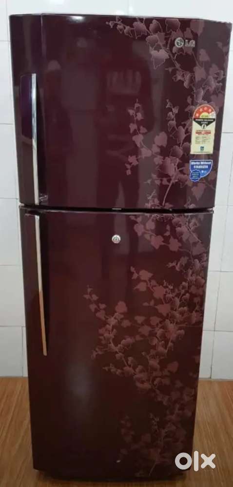 Lg 240 L Double Door 4 Star Refrigerator (Wine Blossom colour)