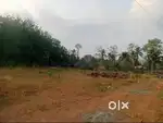 8 & 22 CENT square plot for sale at Thiroor - Thrissur