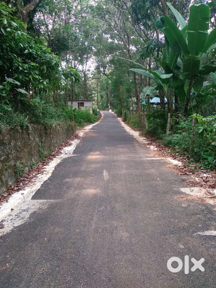 47 cent plot for sale