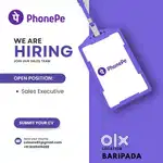 Phonepe Sales Executive ( only for freshers) in baripada location