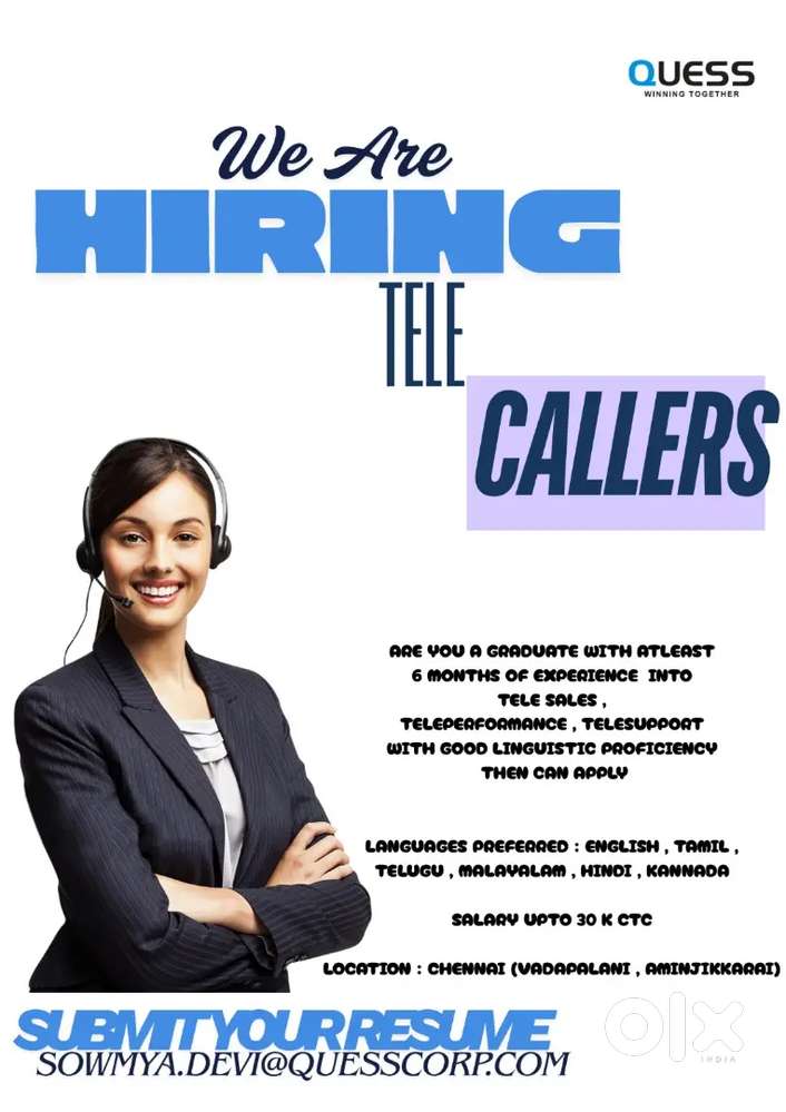 Customer Sales Executive