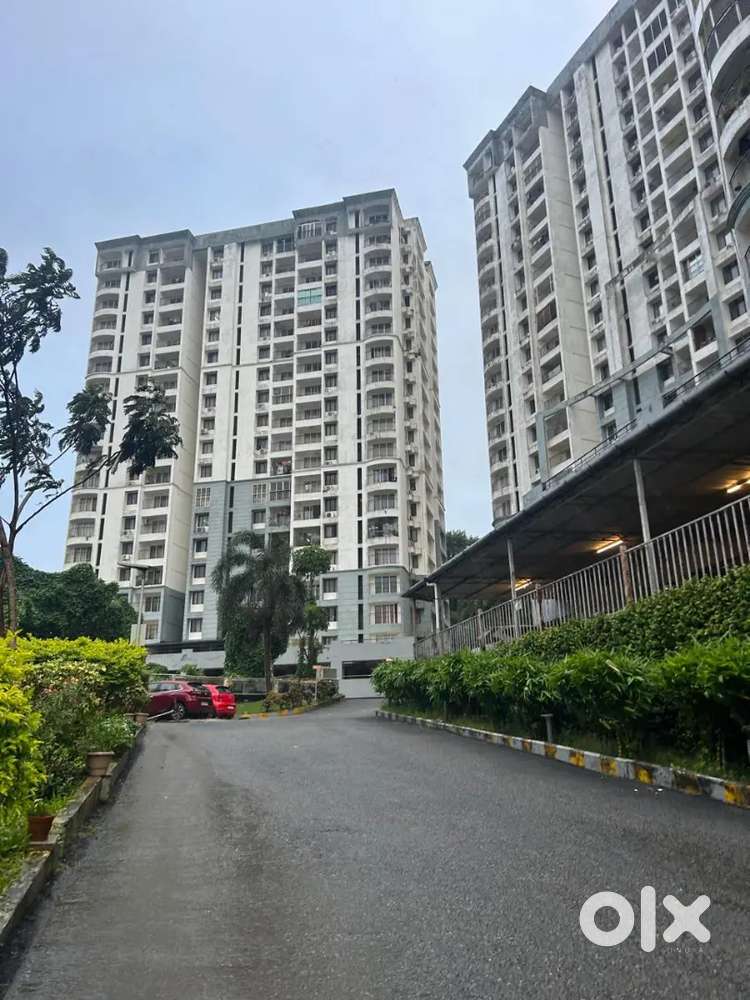 Female room mate need in a two sharing room.