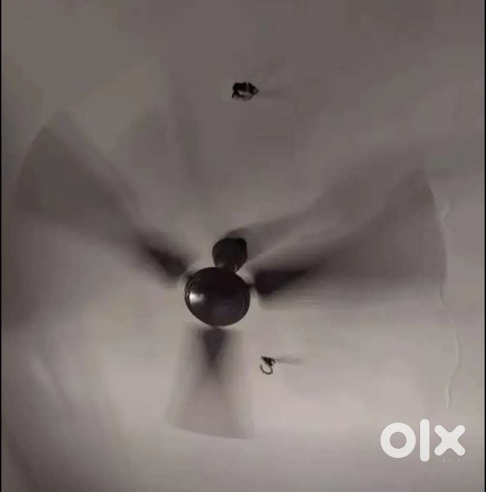Ceiling fans for sell in good working condition