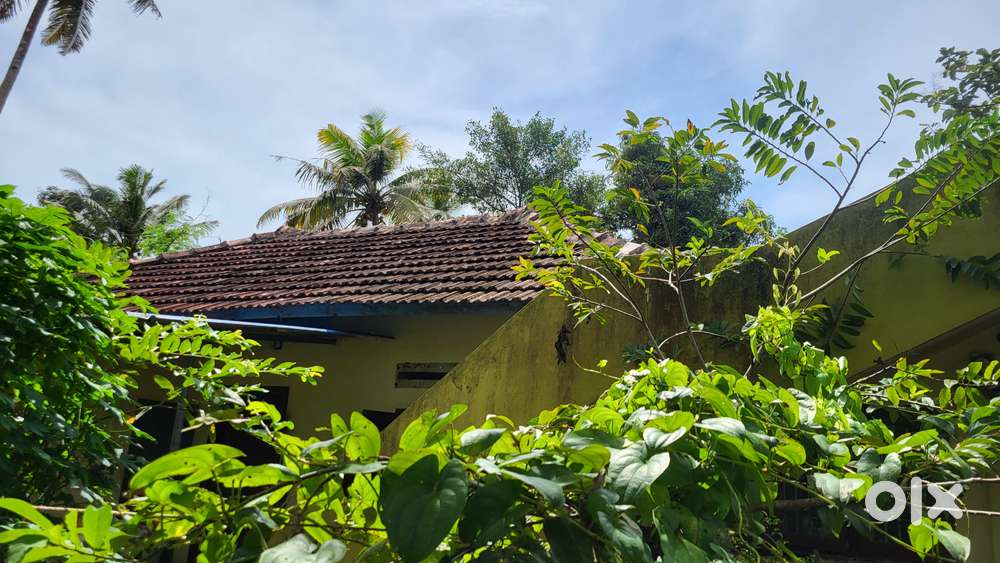 Home Property -20 cent - (4. 5  lakh each cent)