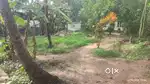 19 cents Land for Sale