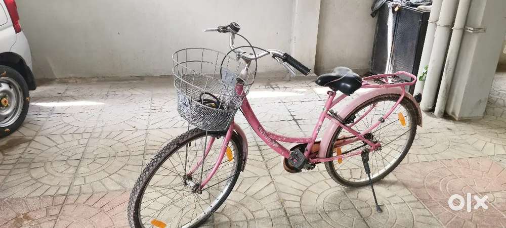 Ladybird BSA