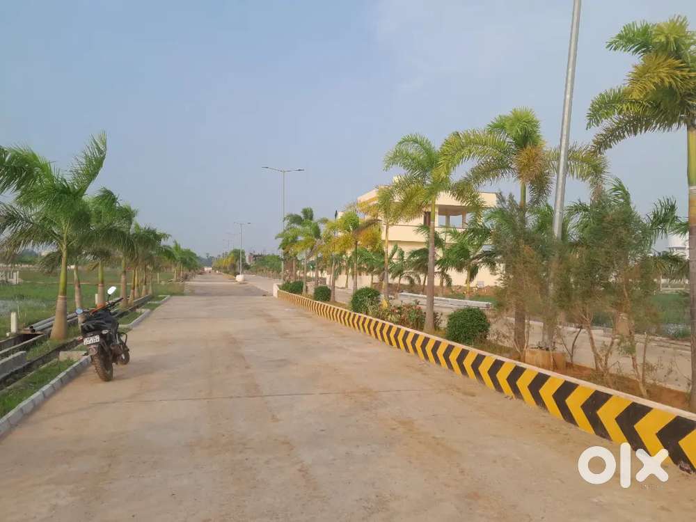 Kankipadu 174 square yards lay out plot for sale