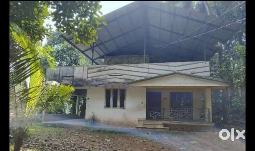 House available for rent at mavelinagar, vamanapuram