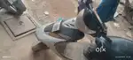 Scooty for sale