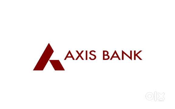 AXIS  BANK  WANTED  JOBS