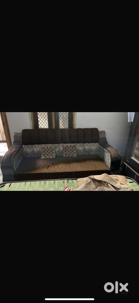 one month old sofa