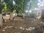 2.5 Ganda Land