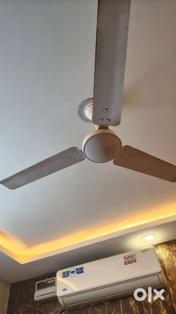 3 nos Ceiling fan crompton make