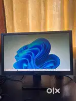 Dell screen display monitor