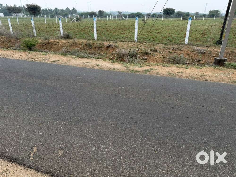 50 cent land / bus route land